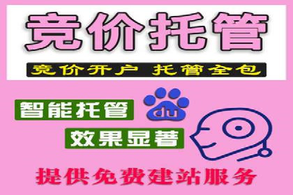 SEM竞价托管实战：行业案例分析